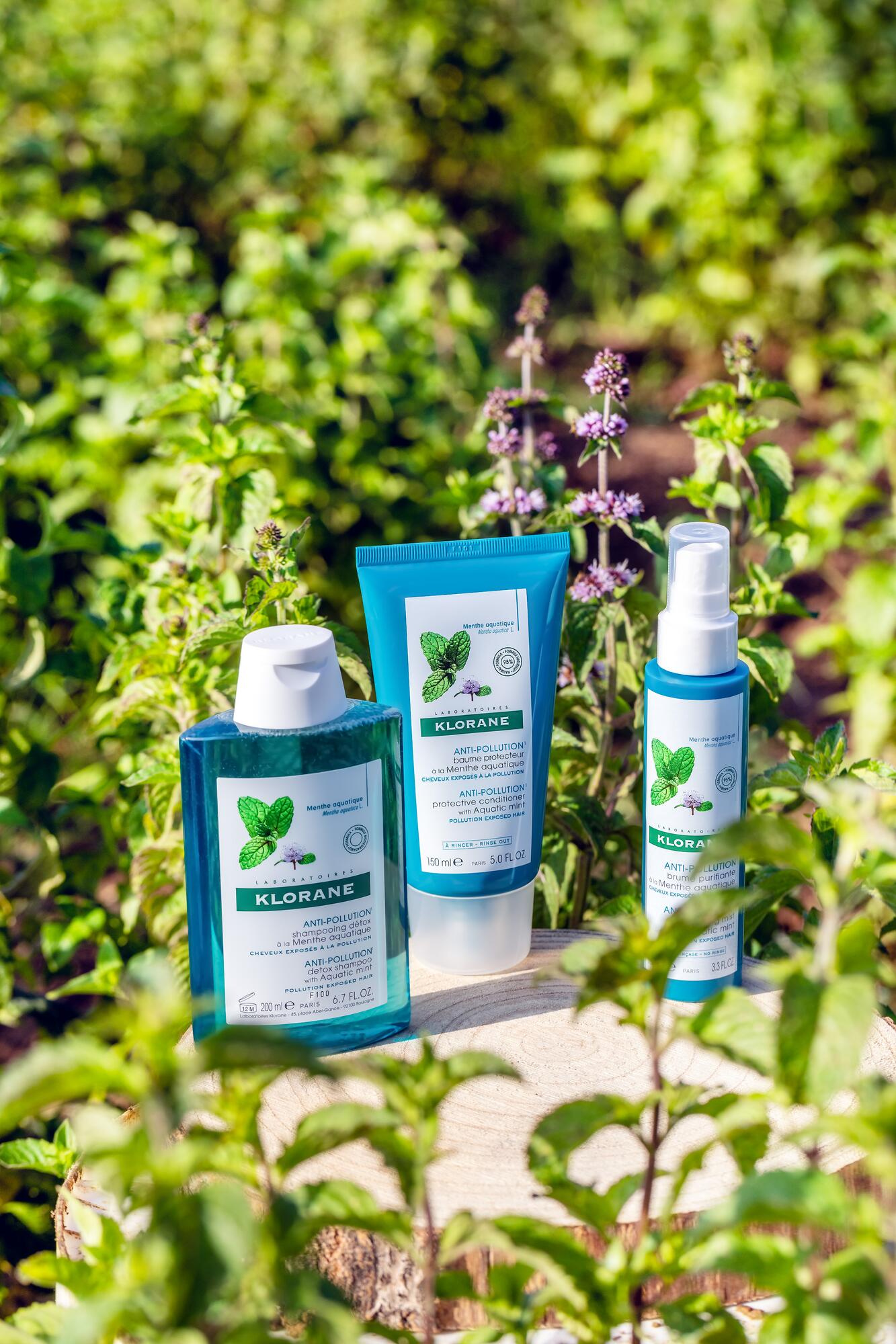 <span class="ezstring-field">kl_mint_active-ingredient_field_plant_2019 -105-</span>